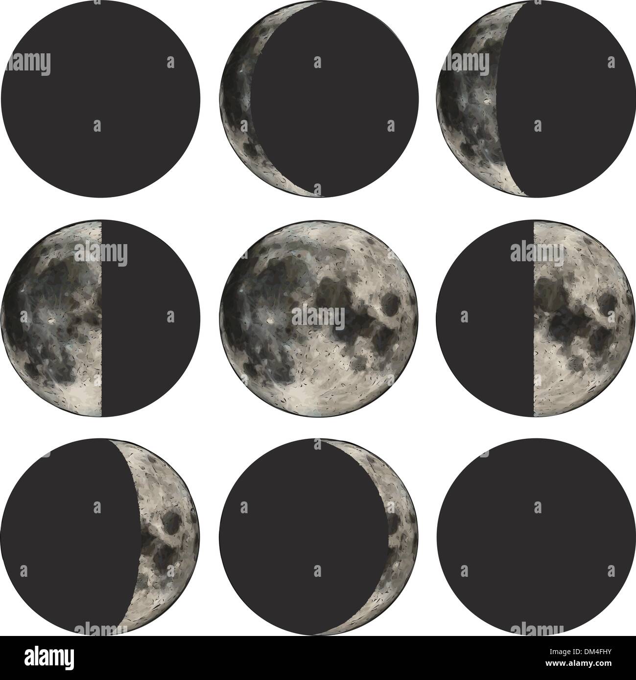 Phases of the moon Stock Vector