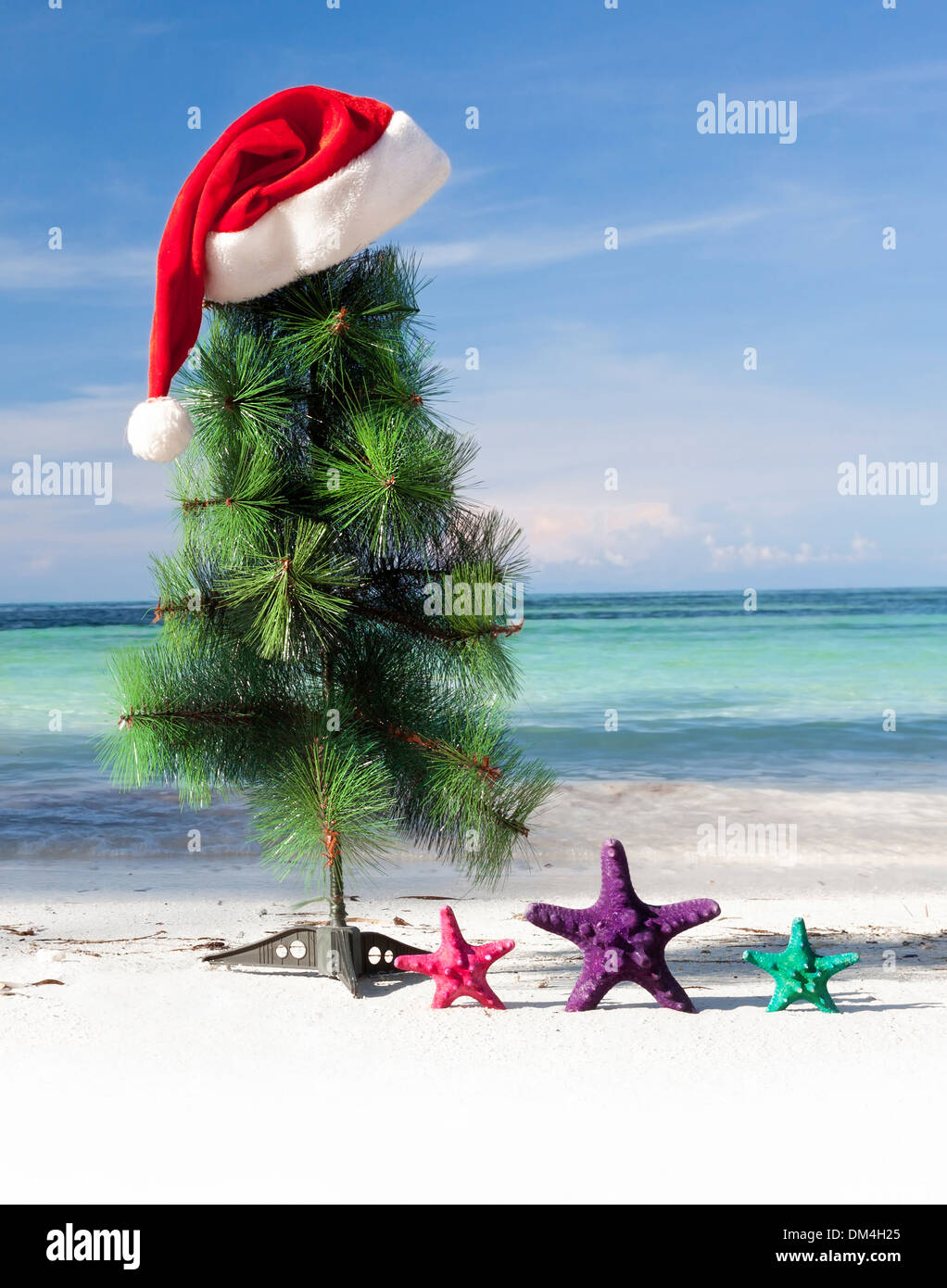 Christmas tree and Santa hat on perfect beach, New Year celebrating ...