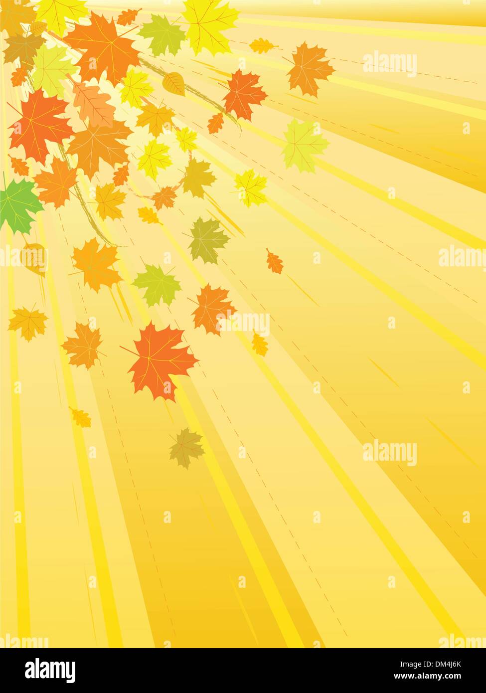 vector autumn leaves Stock Vector Image & Art - Alamy