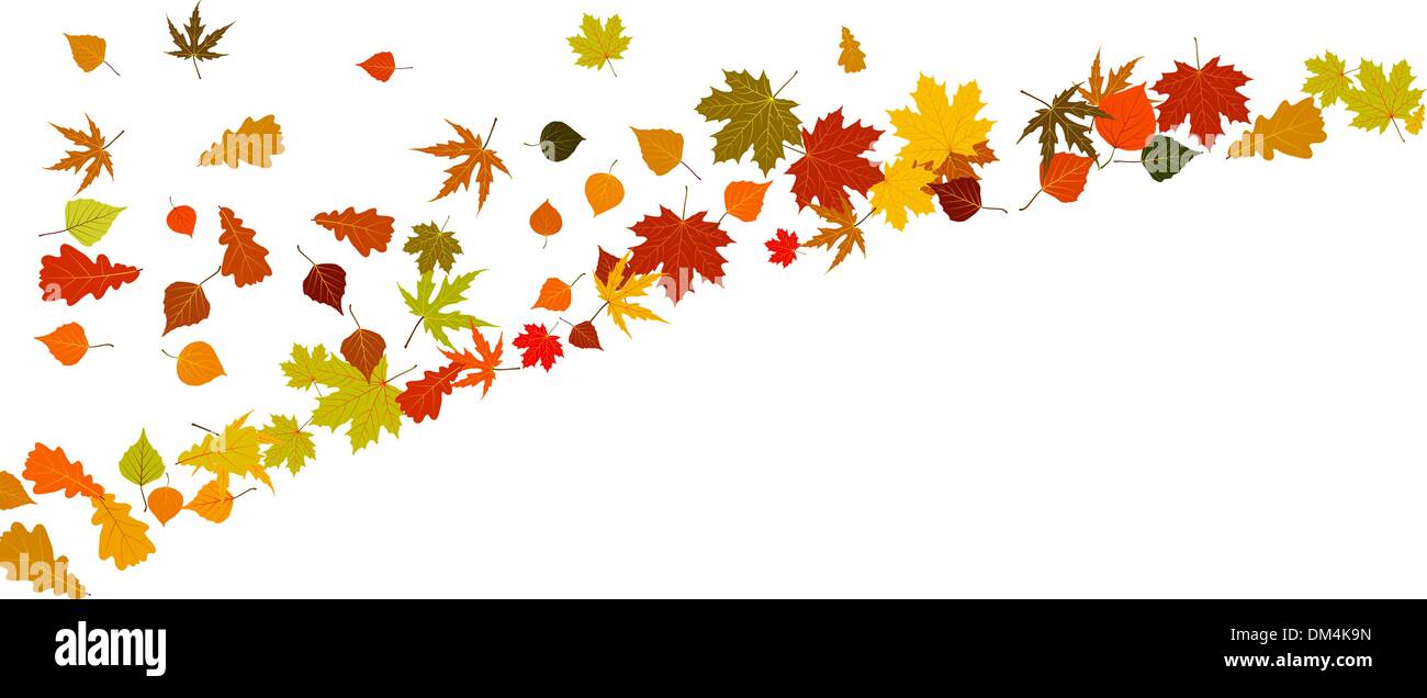Autumn vector background with leafs. Stock Vector