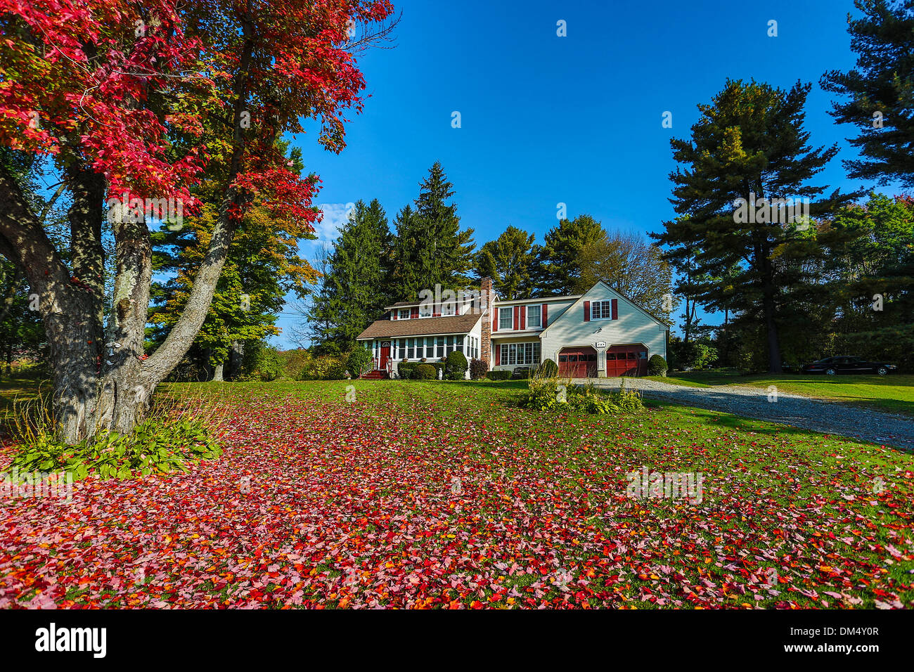 Autumn, Berckshire, Lenox, Massachusetts, USA, United States, America