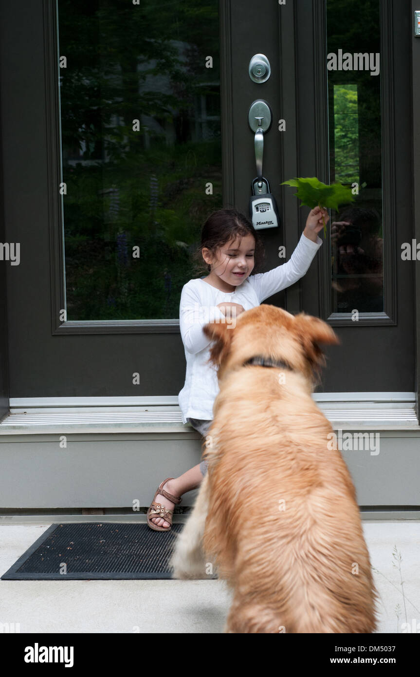 Girl playing with dog Stock Photo