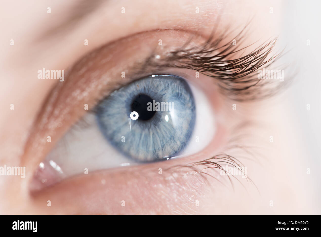 Extreme closeup shot of a beautiful woman eye Stock Photo