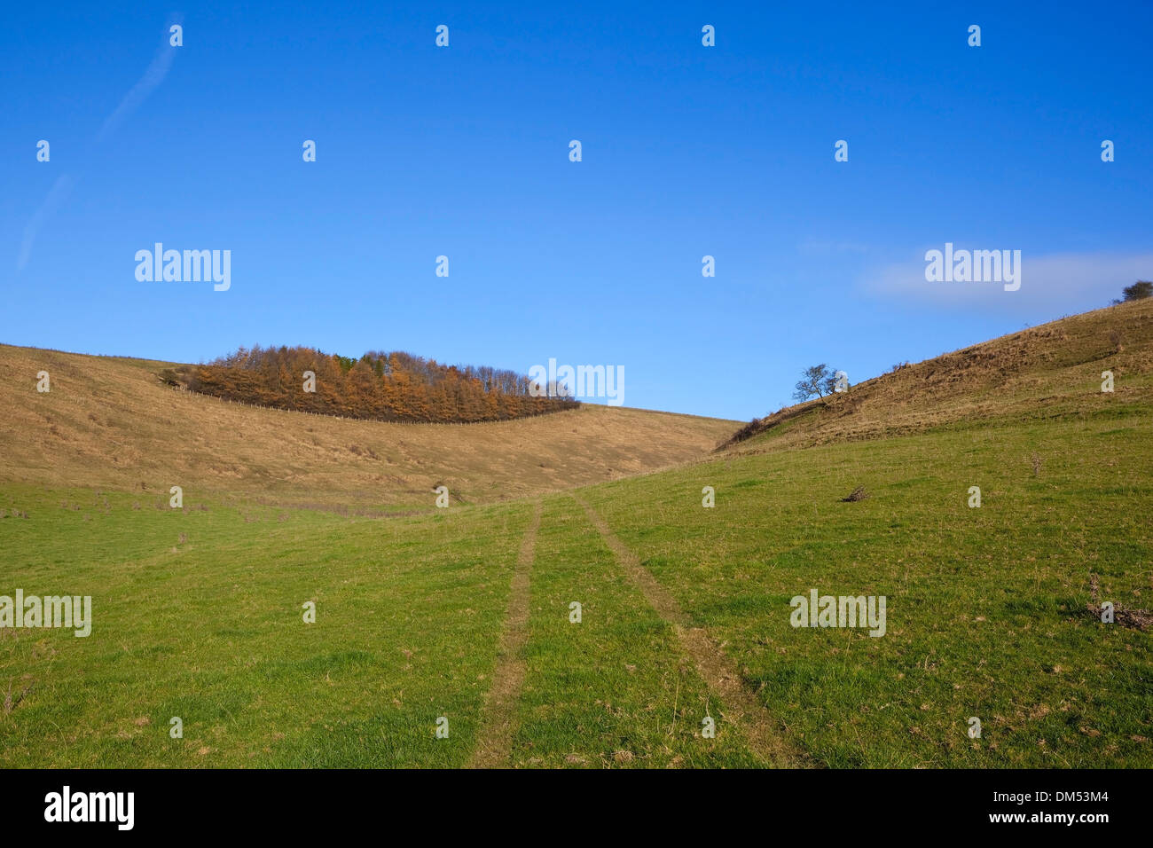 Autumn landscape with a view along the grassy valley of Cleaving coomb on the Yorkshire wolds in England. Stock Photo