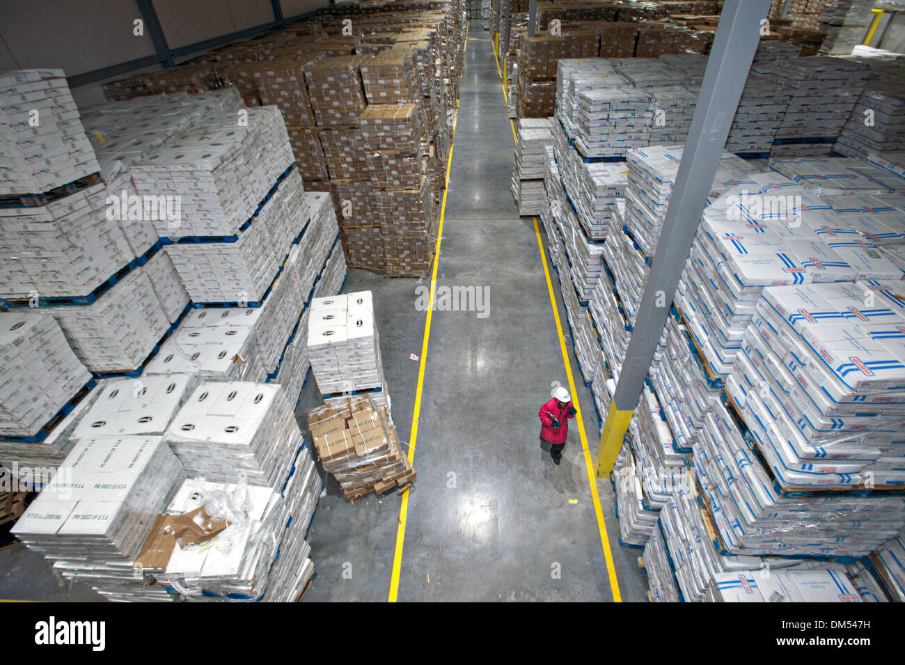 US Department of Agriculture Food Safety Inspector examines a shipment of imported frozen meat at the Port of New Orleans November 21, 2013 in New Orleans, LA. Stock Photo