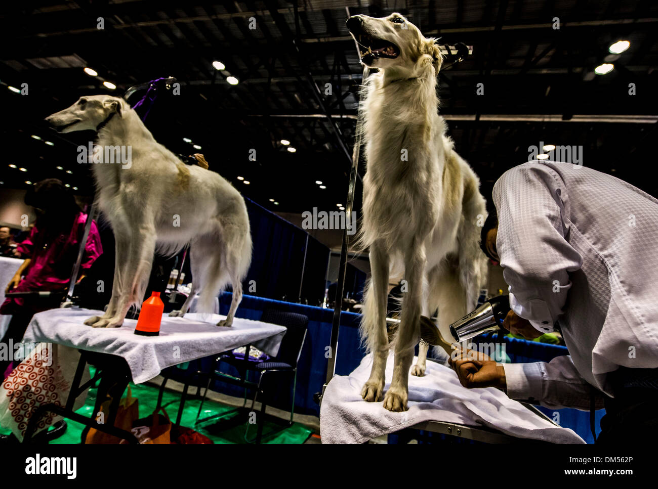 The Fall 2012 - Borzoi Club of America