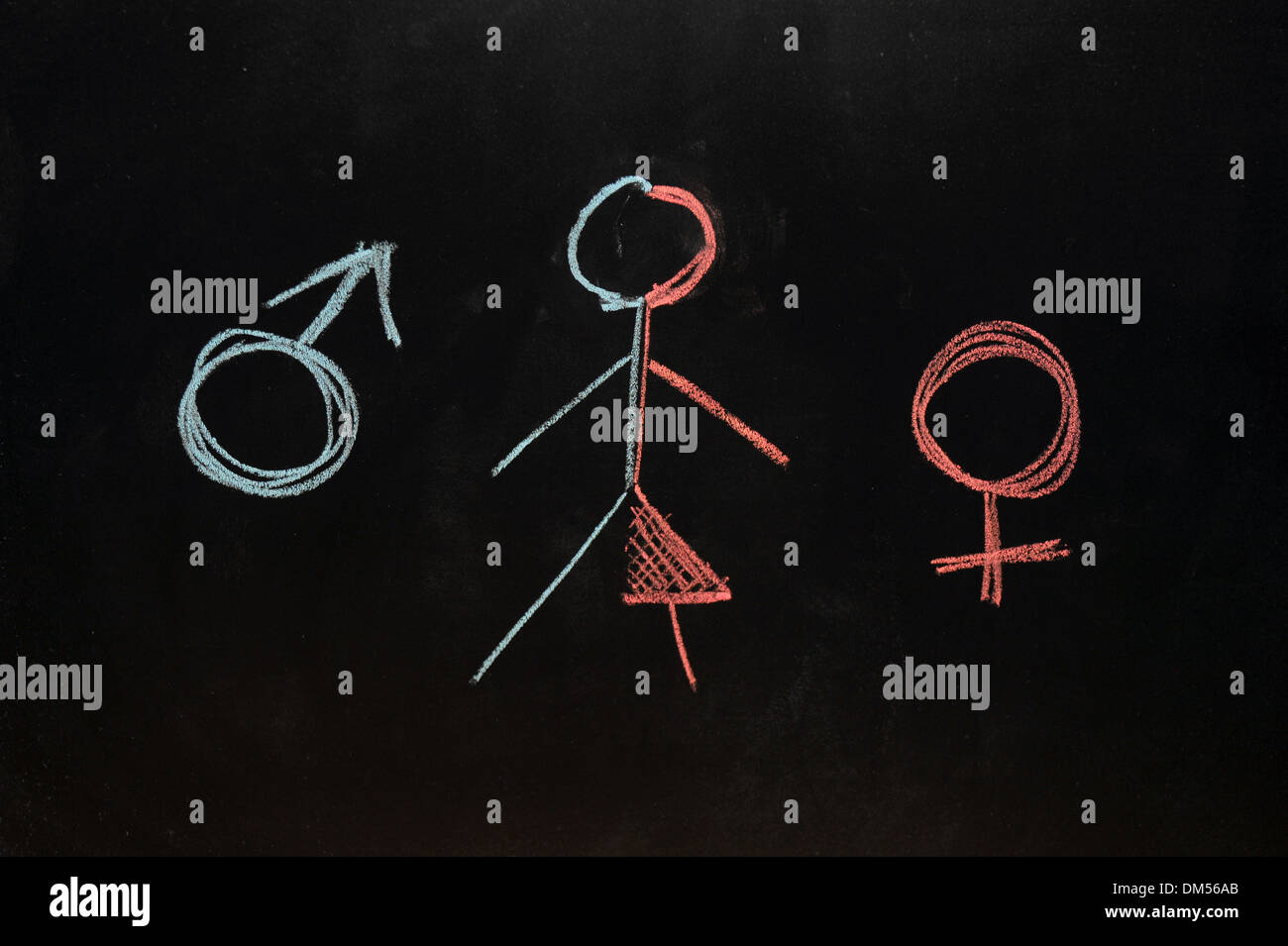 Female and male symbols with a half female half male stick figure drawn on a blackboard in chalk. Stock Photo