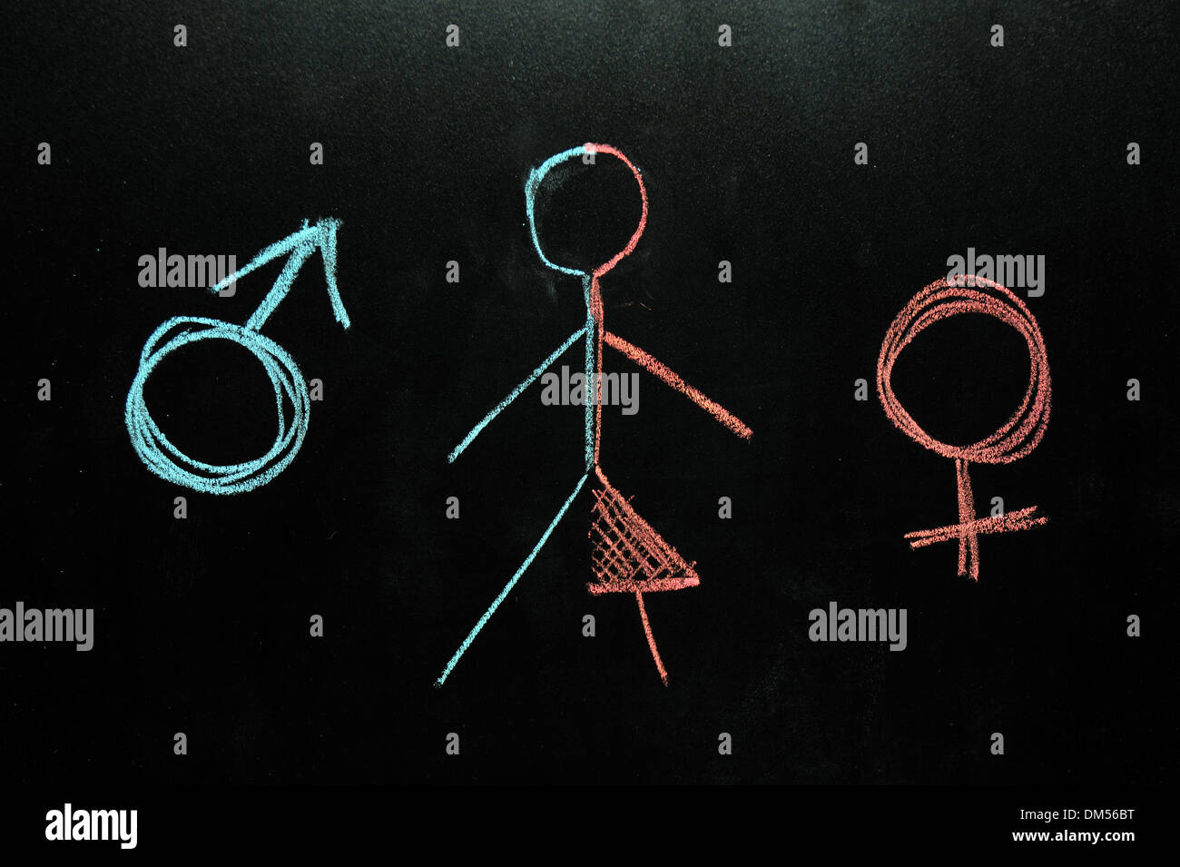 Female and male symbols with a half female half male stick figure drawn on a blackboard in chalk. Stock Photo