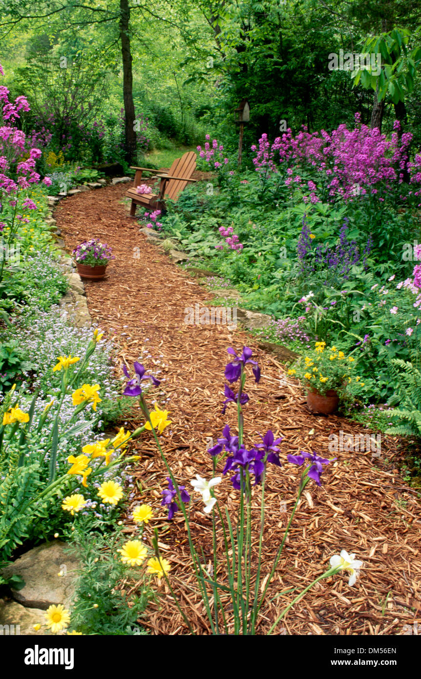 Pathway of mulch through a blooming spring shade garden, Missouri Stock