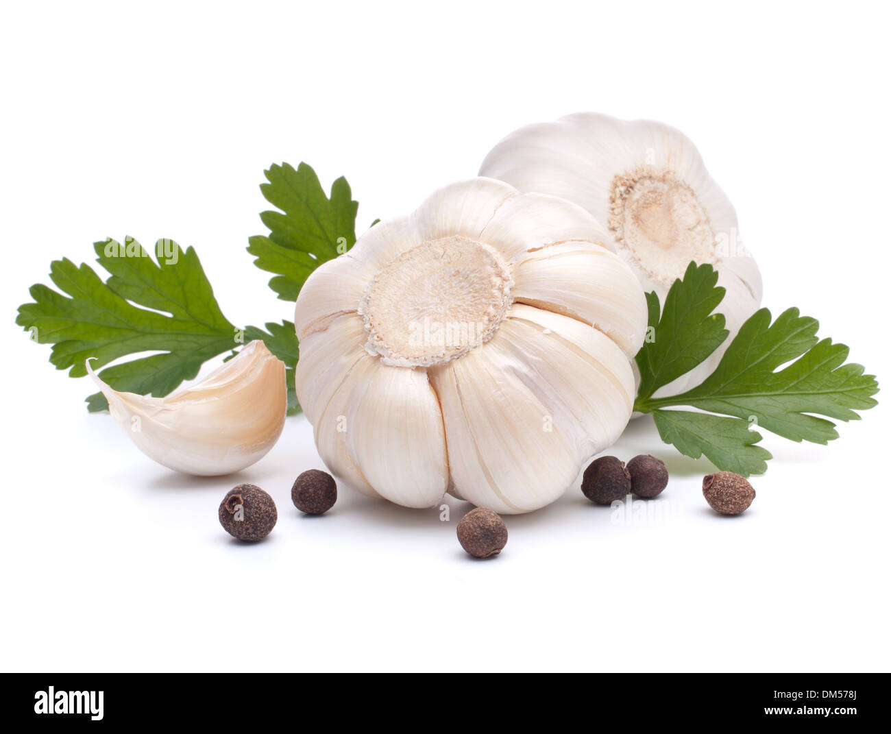 Garlic bulb and parsley leaf isolated on white background Stock Photo ...