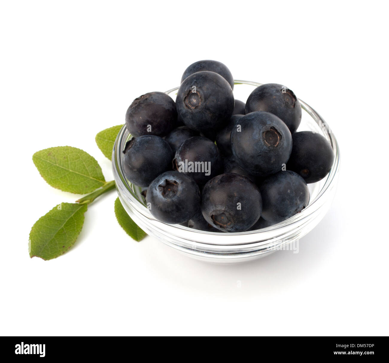 Blue bilberry or whortleberry isolated on white background Stock Photo