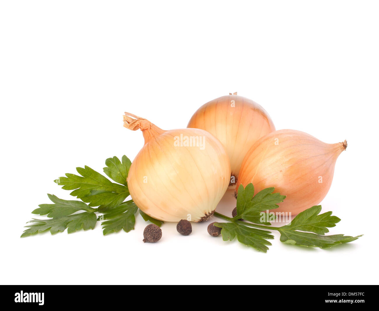 Onion isolated on white background Stock Photo - Alamy