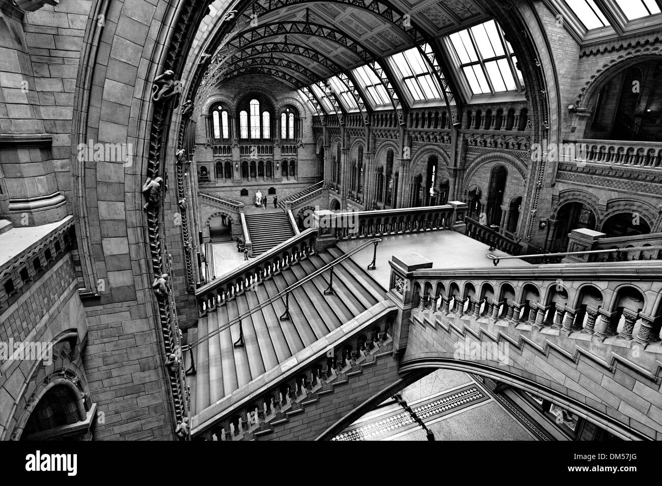 Natural History Museum, Interior. Stock Photo