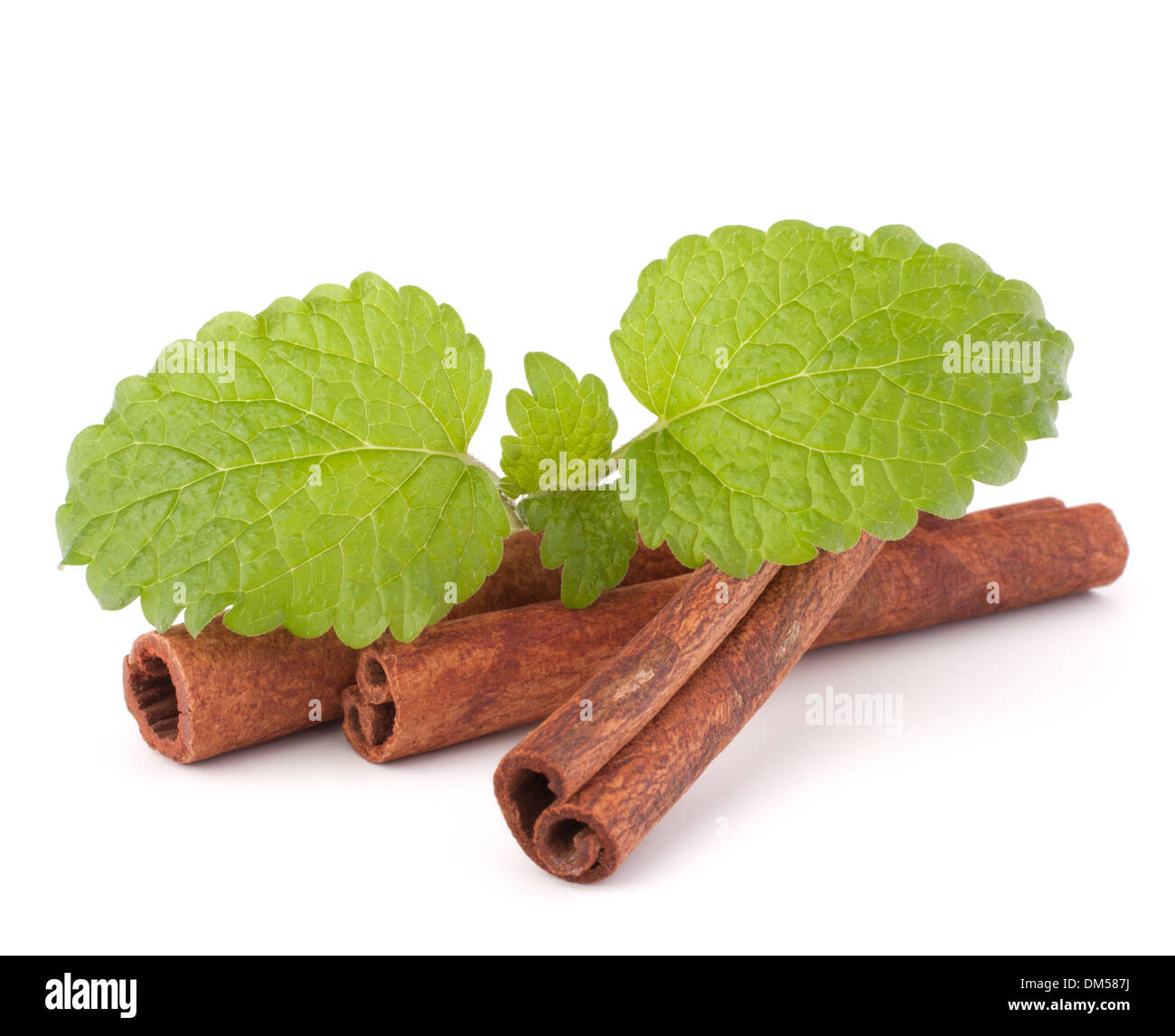 Cinnamon sticks and fresh mint leaf isolated on white background Stock Photo