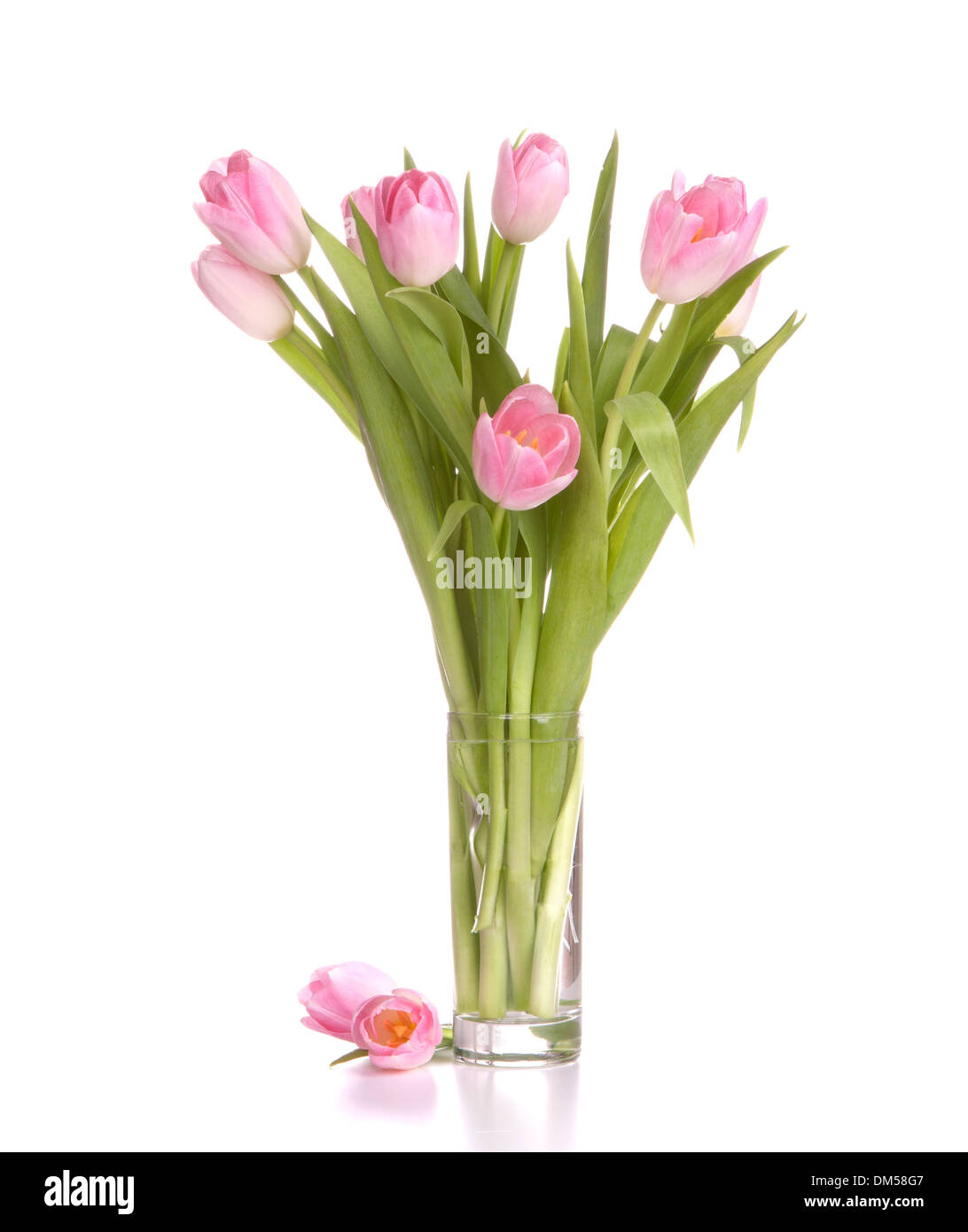 Pink tulips bouquet in vase isolated on white background Stock Photo ...