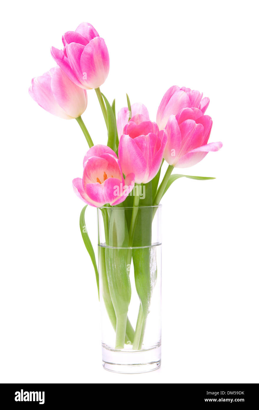 Pink tulips bouquet in vase isolated on white background Stock Photo ...