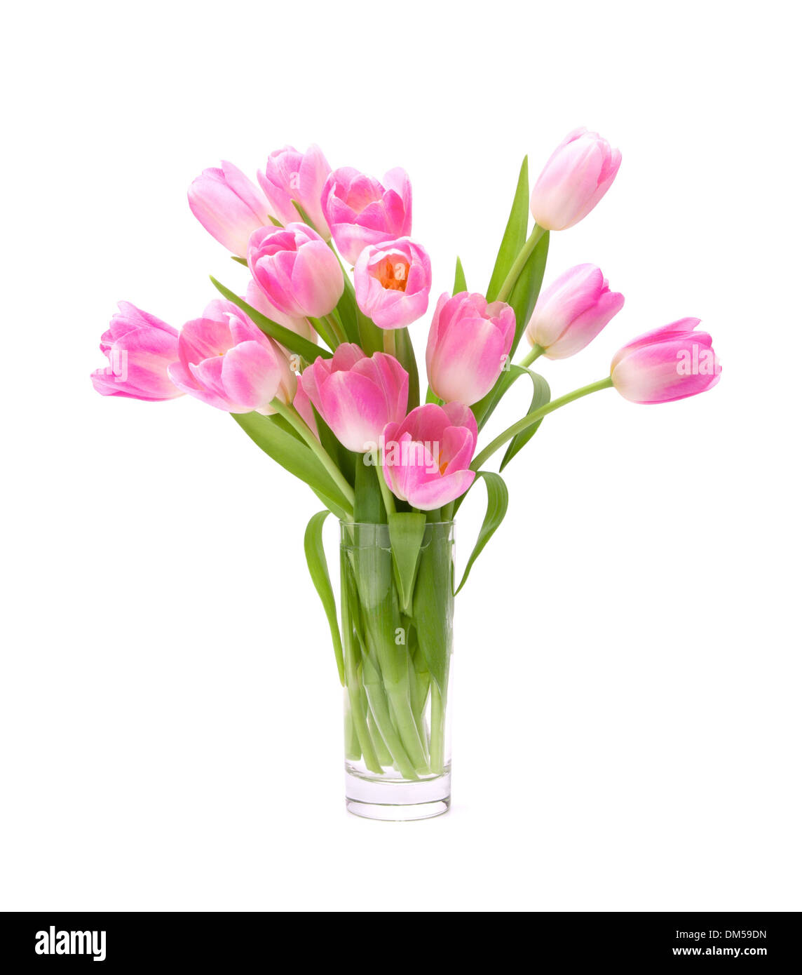 Pink tulips bouquet in vase isolated on white background Stock Photo ...