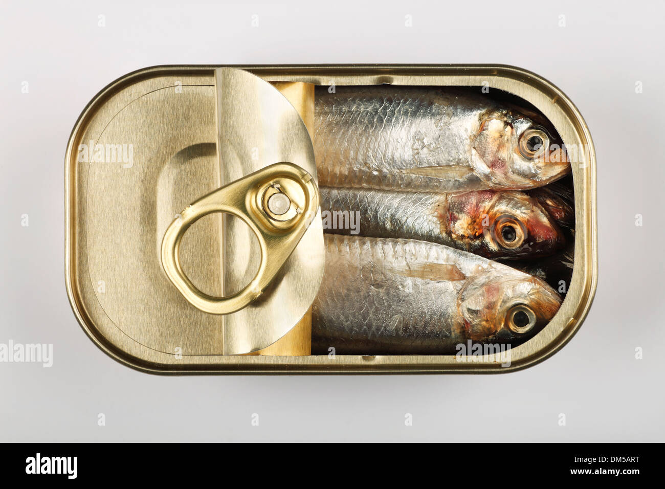 Tin of Sprats, Sardines, Pilchards Stock Photo 64042492 Alamy