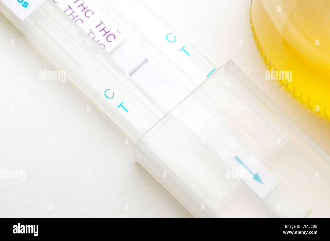Marijuana test that is positive and includes the urine sample off to the right. Stock Photo