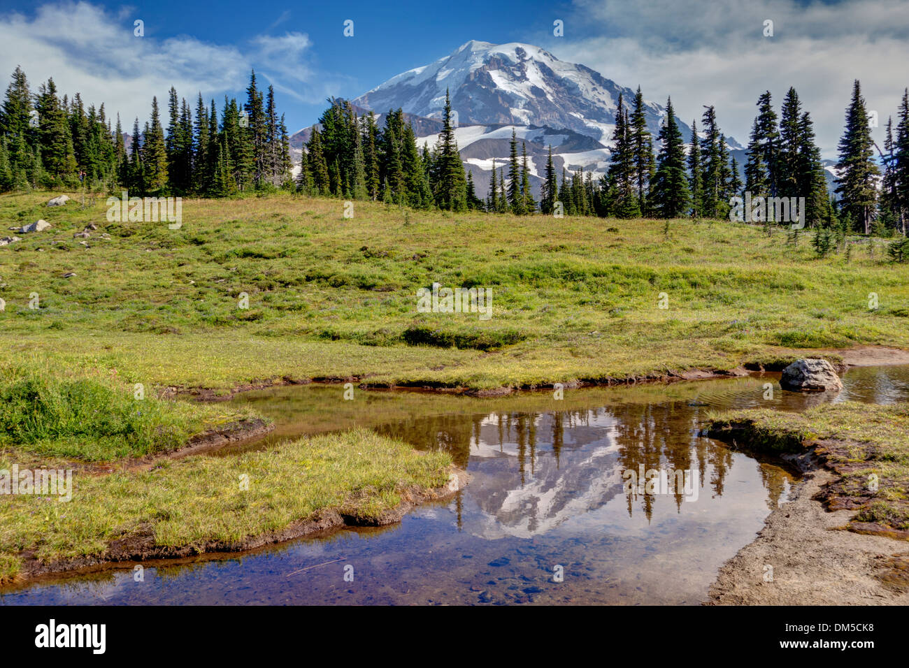 Spray Park, Mt Rainier, Washington Stock Photo Alamy