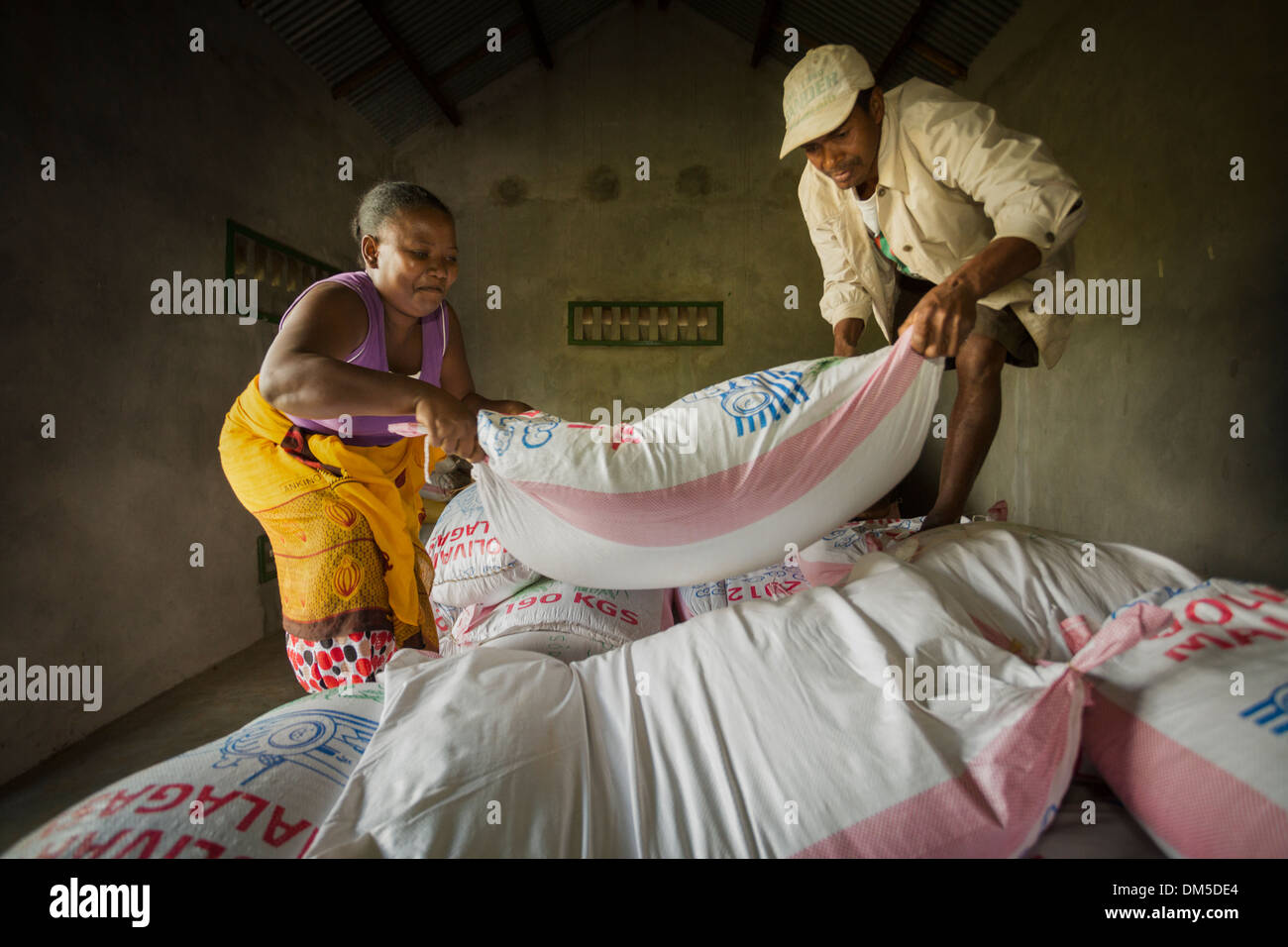 Sacks of rice are sorted in a warehouse in Fenerive Est District, Madagascar, Africa. Stock Photo