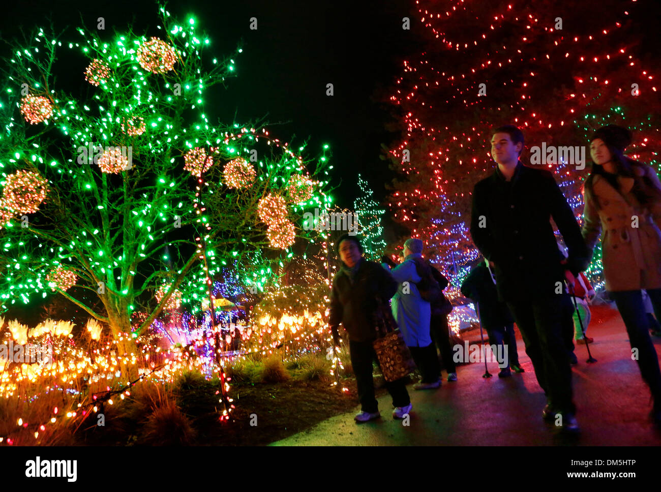 Vancouver, Canada. 11th Dec, 2013. People enjoy their night with the Christmas  lights around the VanDusen Botanical Garden in Vancouver, Canada, Dec. 11,  2013. Over 1.4 million LED bulbs lighted up in, image size:1300x968