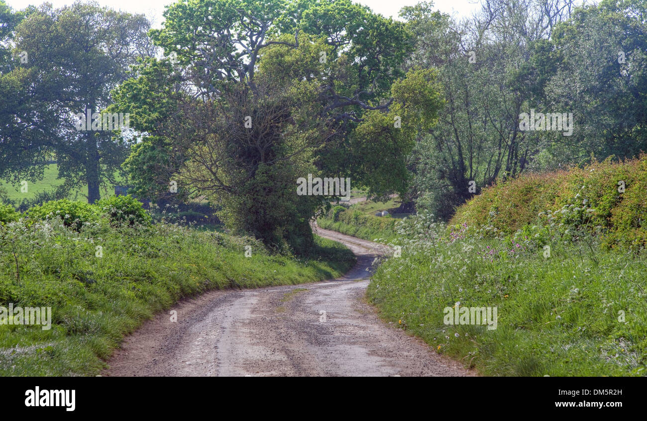 English rural lane hires stock photography and images Alamy
