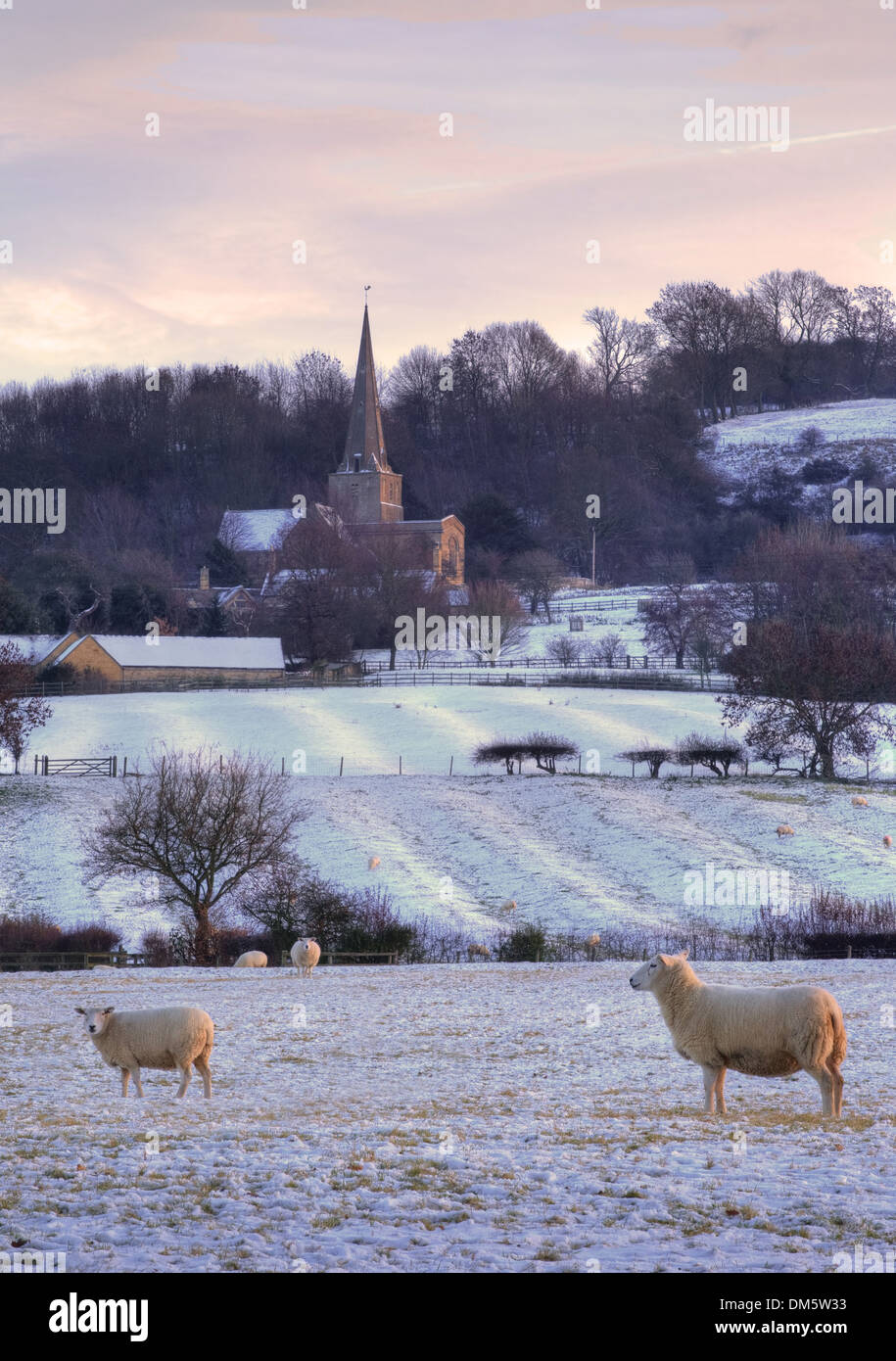 Pretty winters scene at Saintbury with church and sheep, Chipping Campden, Gloucestershire, England. Stock Photo