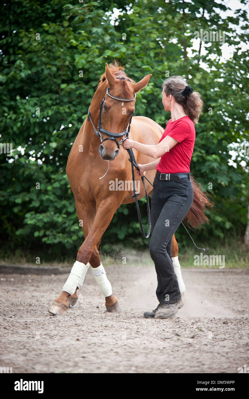 Half human half horse hi-res stock photography and images - Alamy