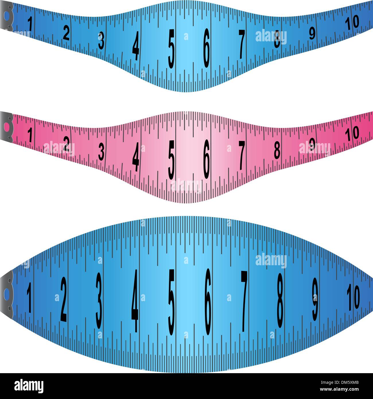 Tape measure presets - centimeter with inches Vector Image