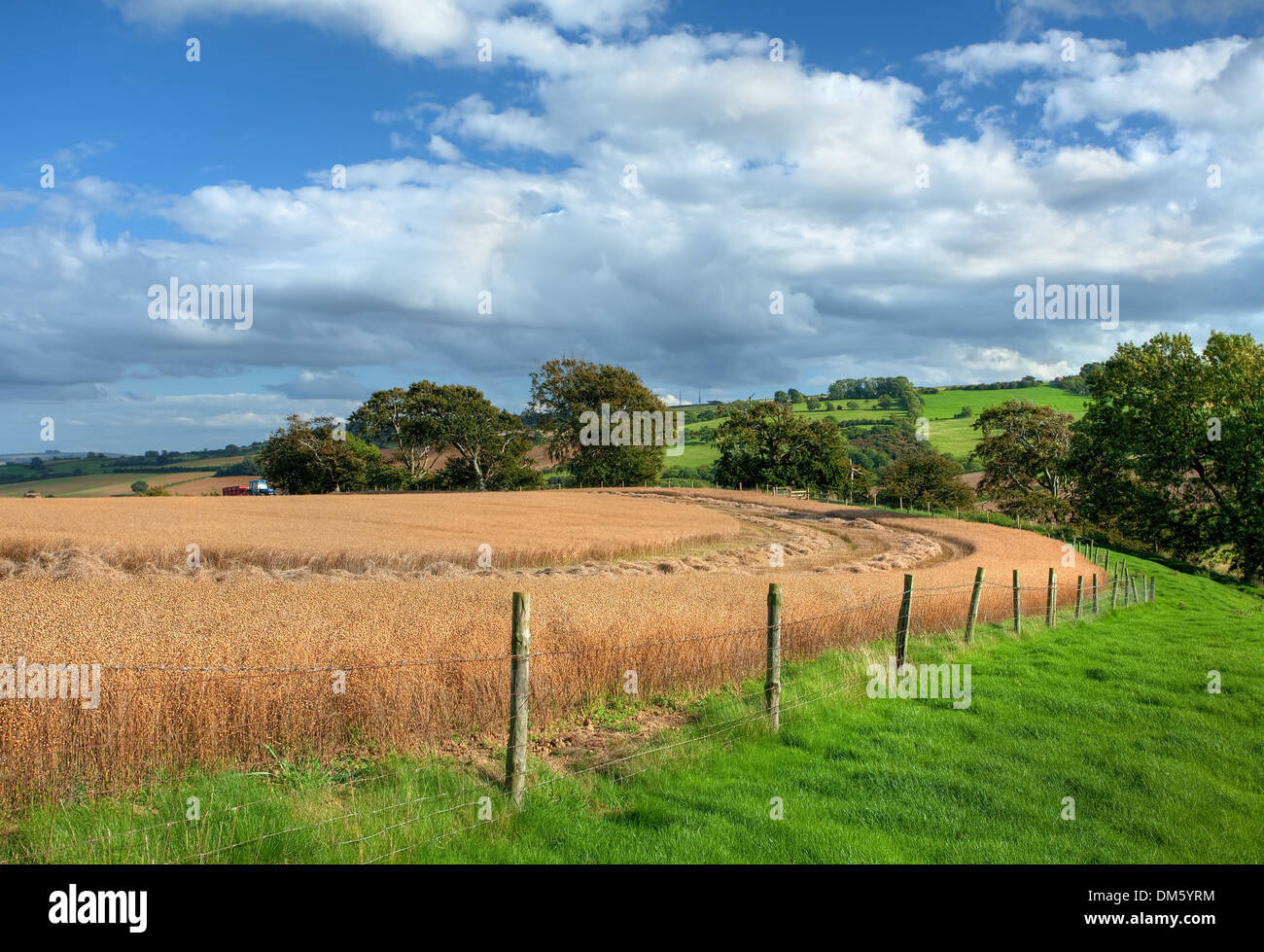 Harvesting the crops on Meon Hill near Chipping Campden, Gloucestershire, England. Stock Photo