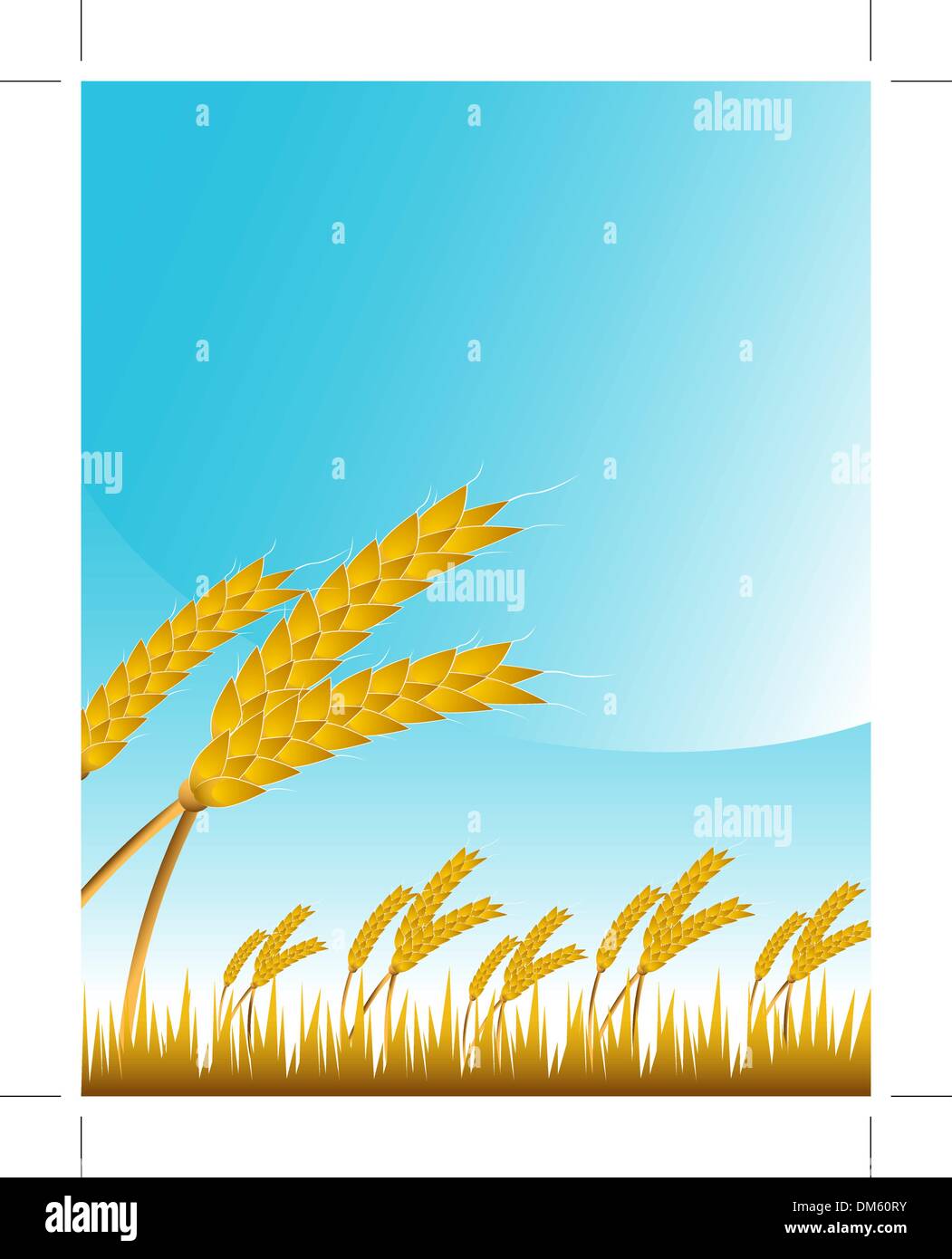 Wheat Field Stock Vector