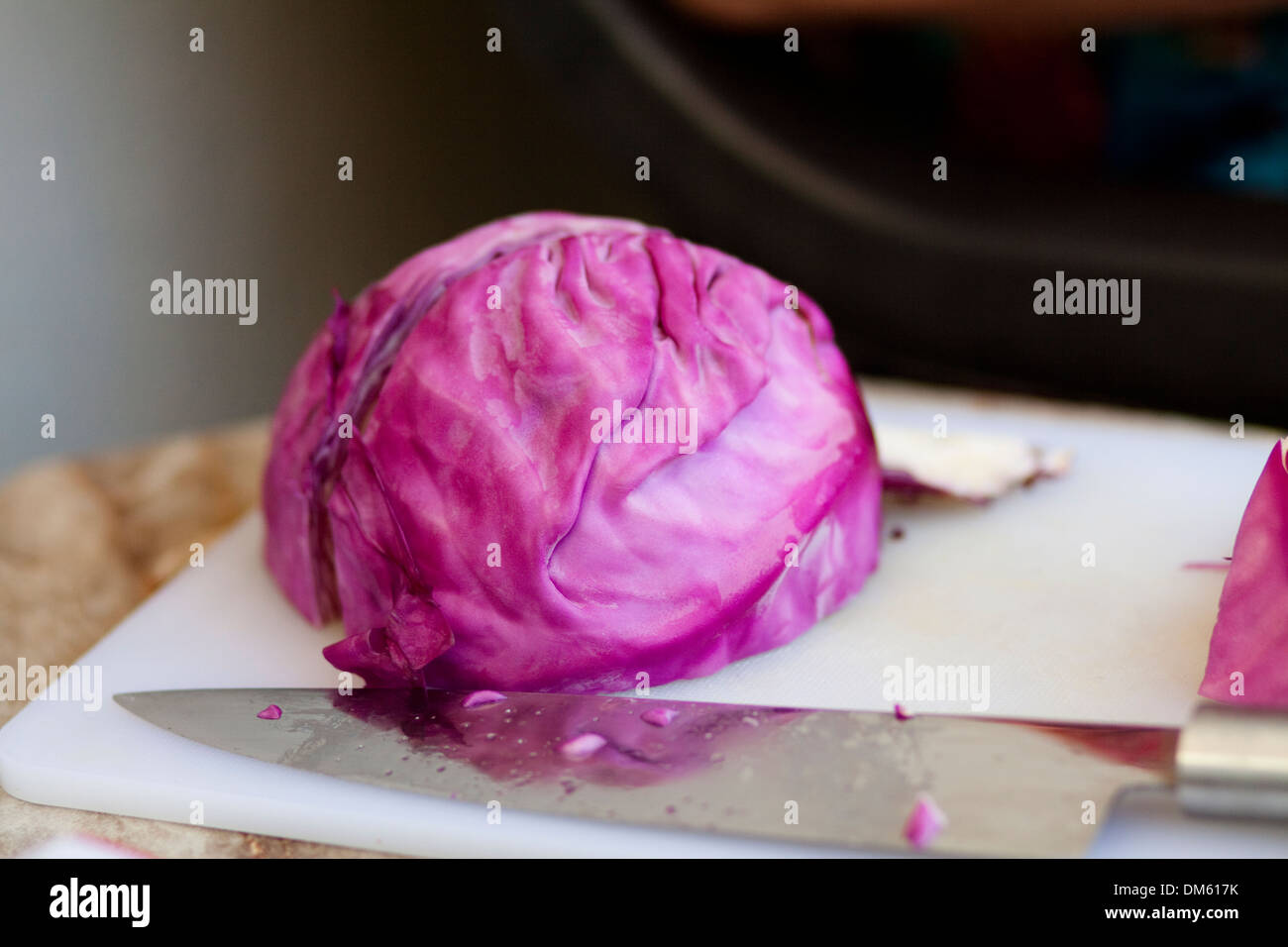 Red cabbage with knife Stock Photo Alamy