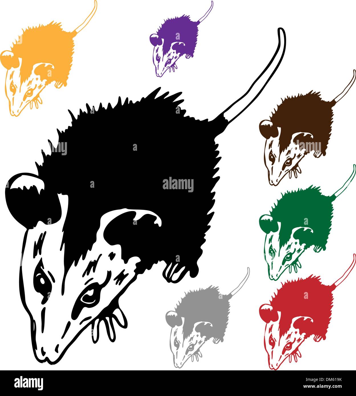 Black possum Stock Vector Images Alamy