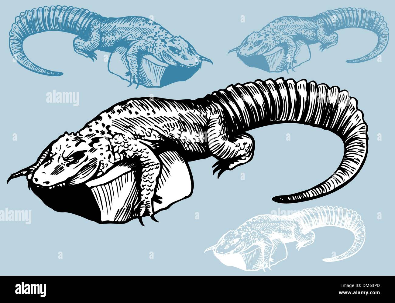 Alligator clipart hi-res stock photography and images - Alamy