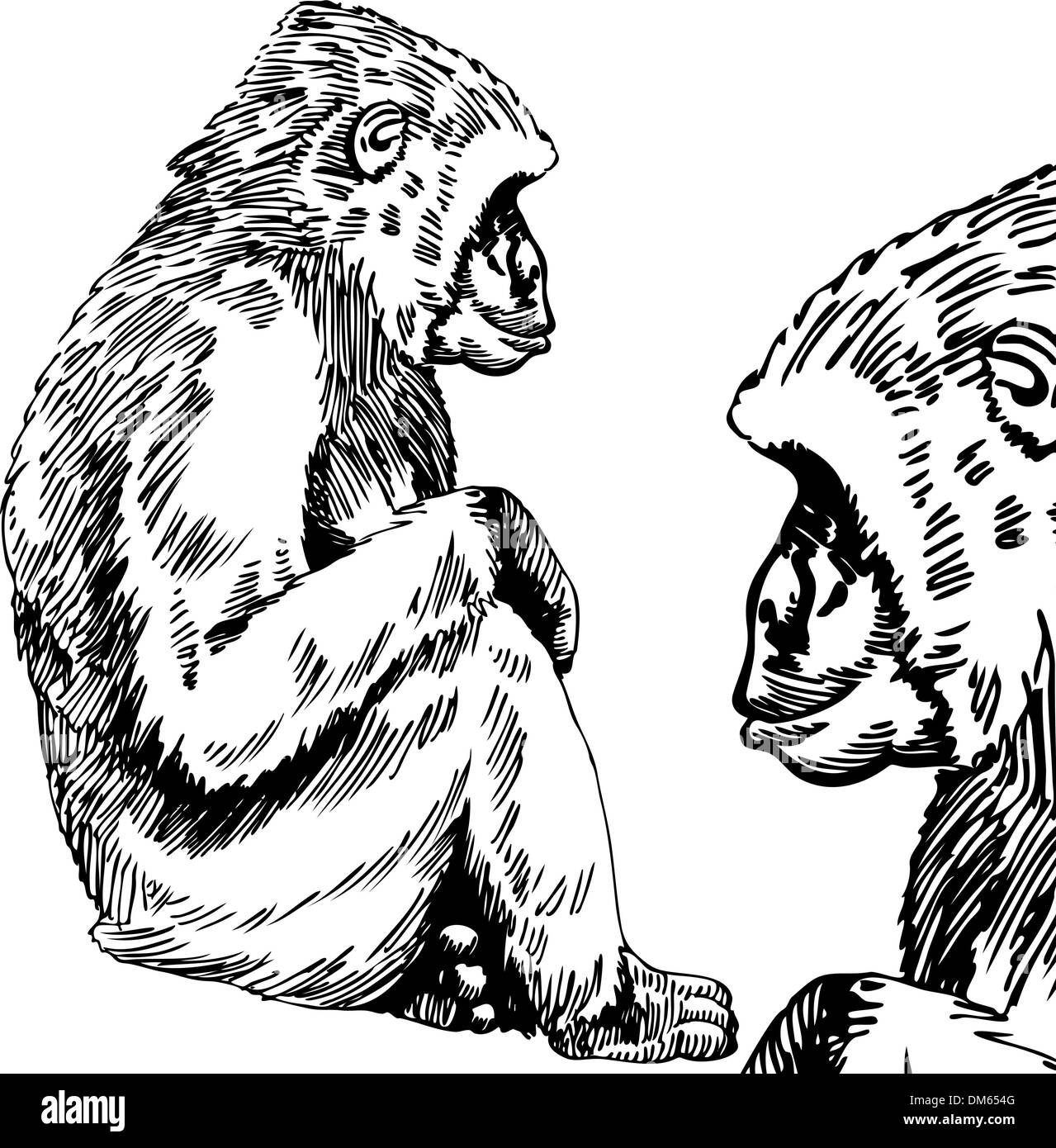 Smart Monkey Sketch Hand Drawn Doodle Style Illustration Stock Vector by  ©BigJoy 663179368