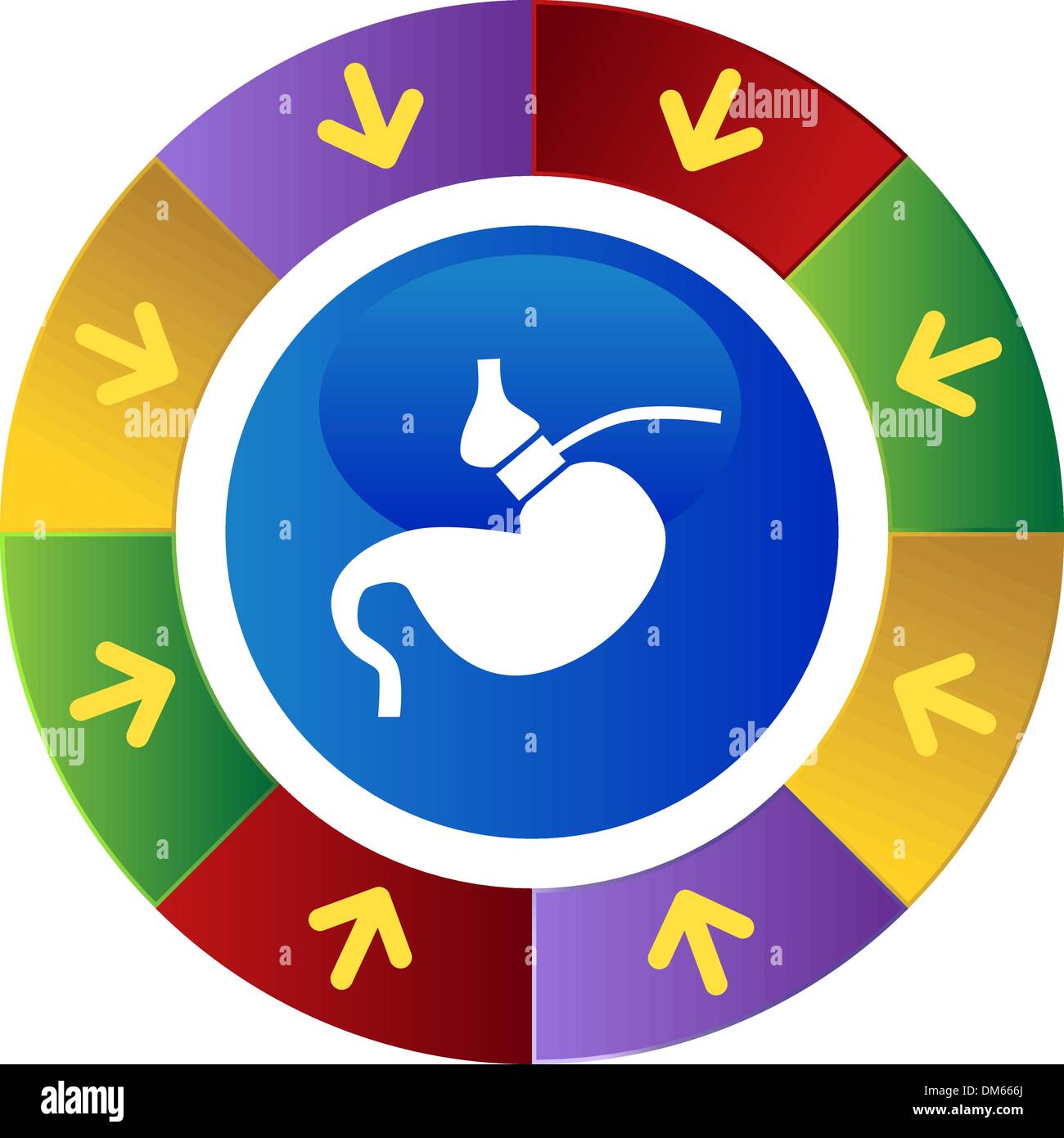 Gastric bypass hi-res stock photography and images - Alamy