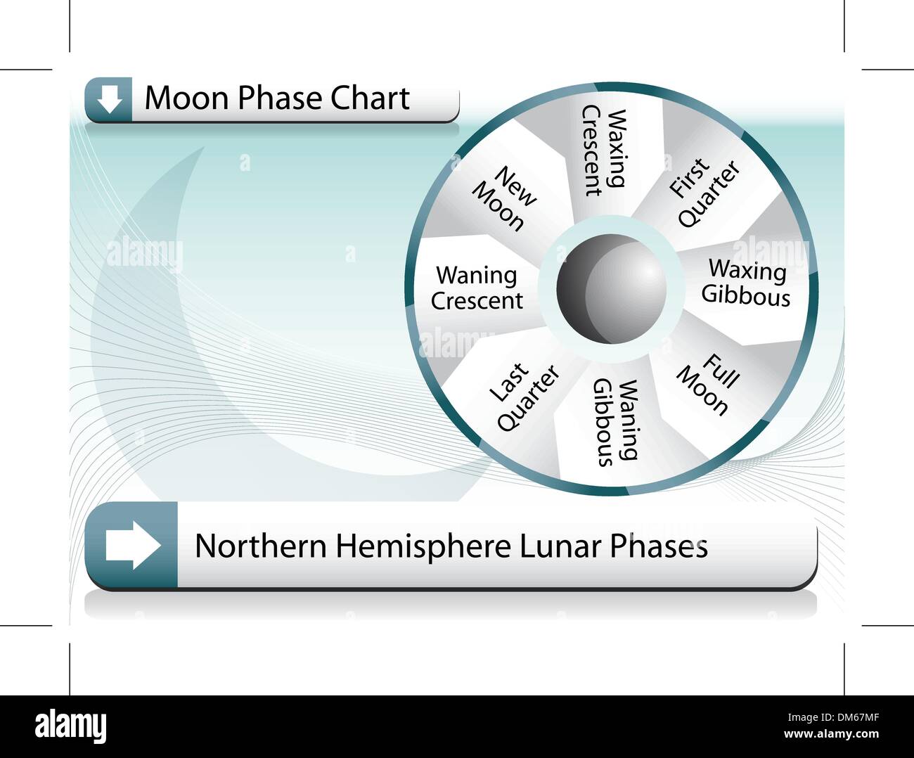 Moon Phase Chart Stock Vector Image & Art Alamy