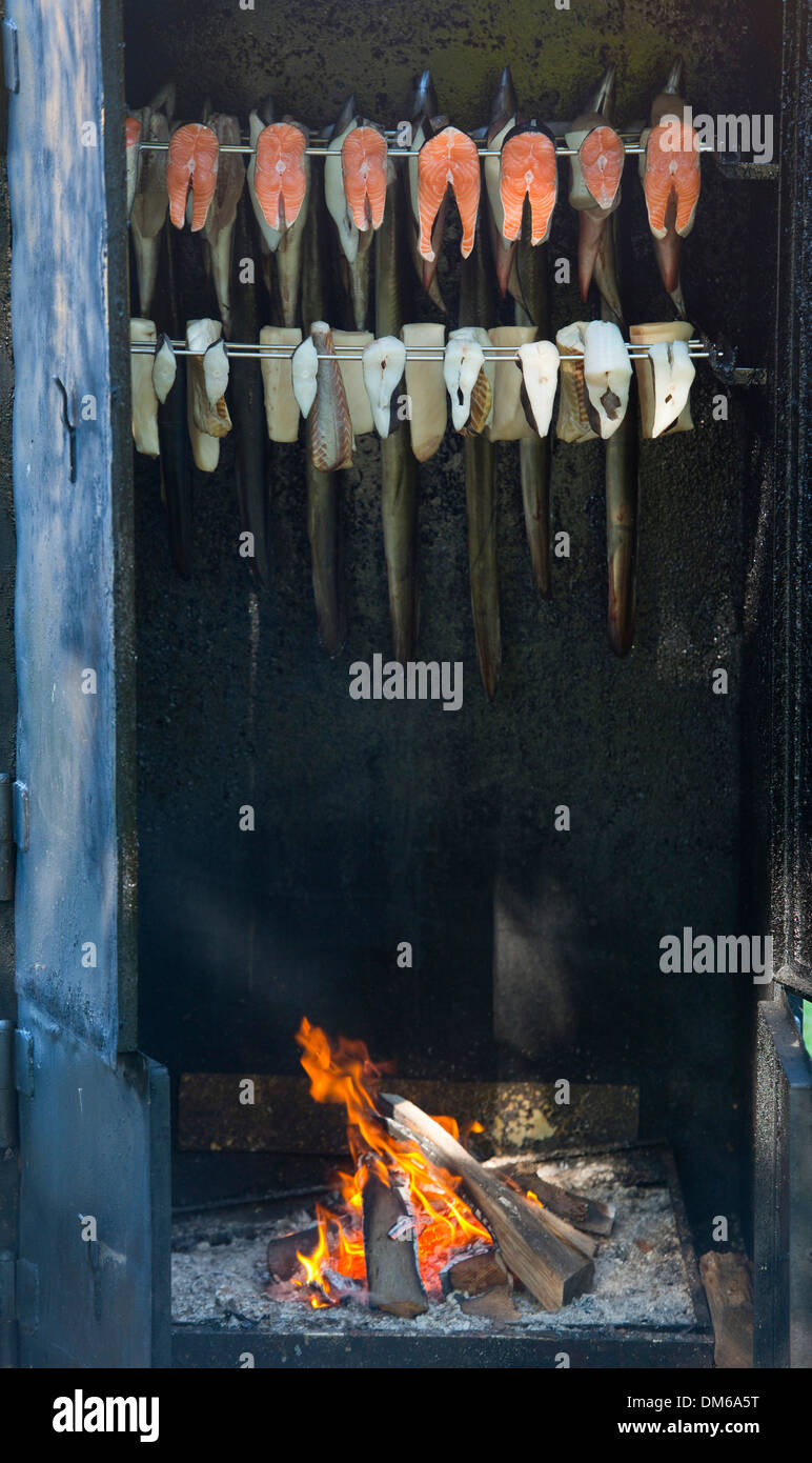 Fish in a smoker or smokehouse, Prerow, Darß, Mecklenburg-Western Pomerania, Germany Stock Photo