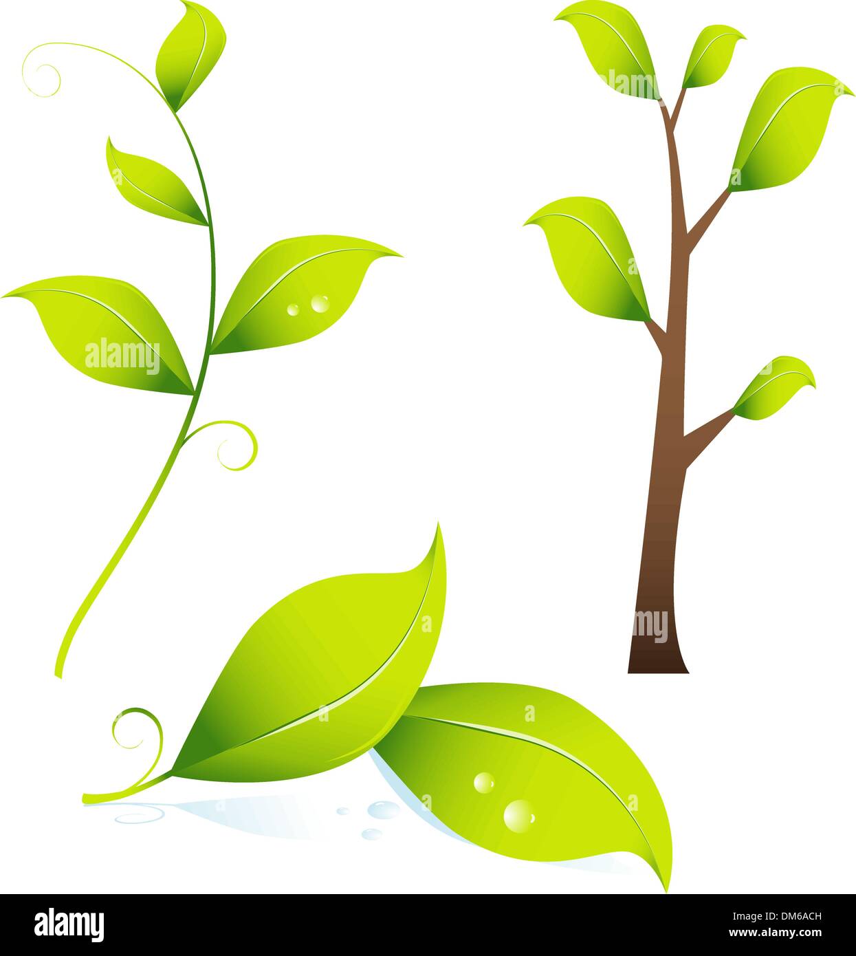 Images leaves Stock Vector Images - Alamy