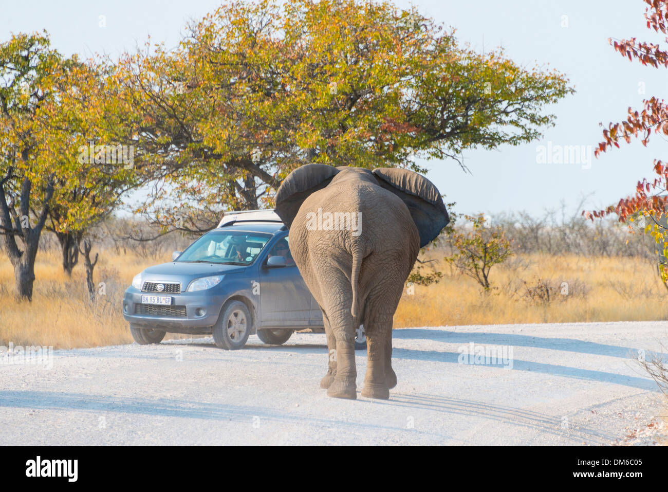 African parks vehicles hi-res stock photography and images - Alamy