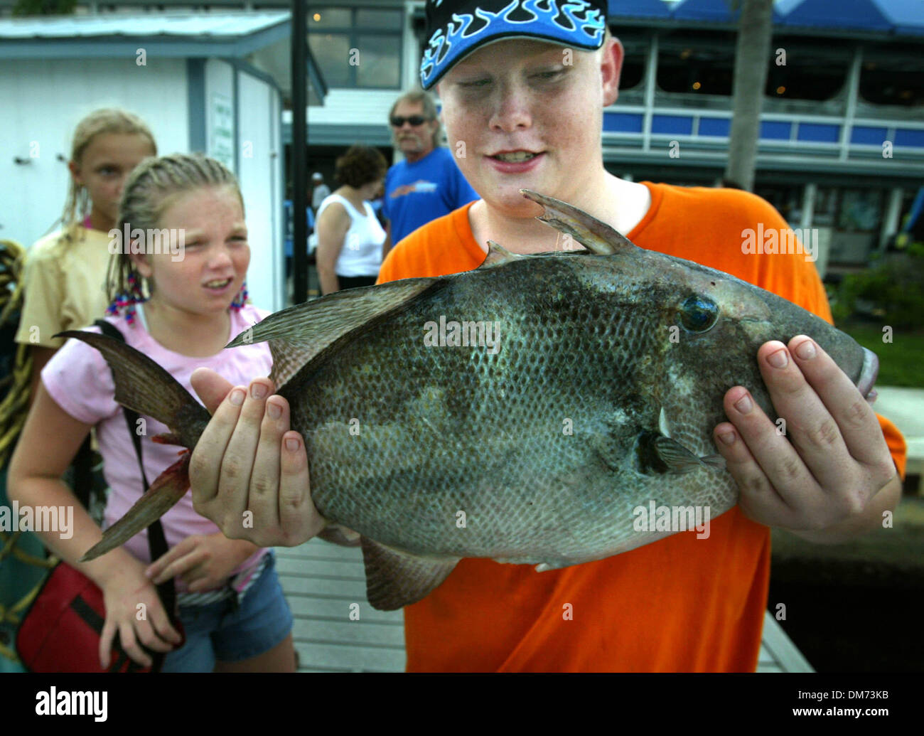 Safari go go bar hires stock photography and images Alamy