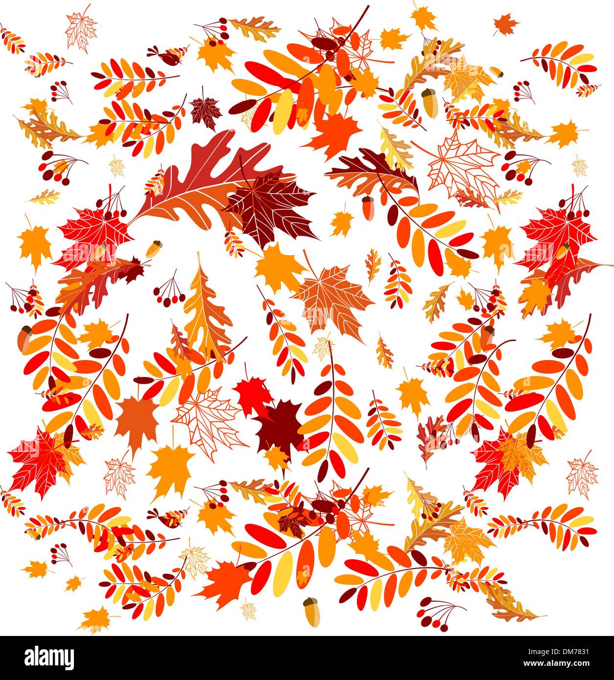 Autumn leaves background for your design Stock Vector