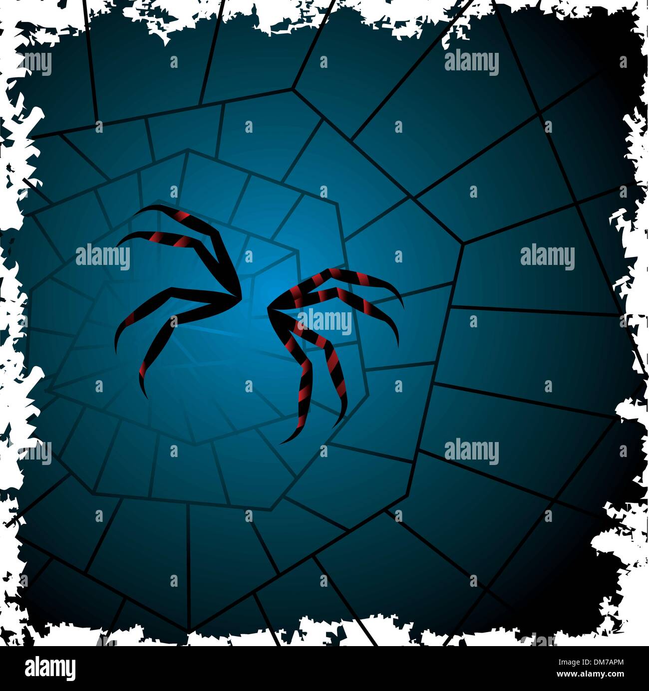 spider on the web Stock Vector