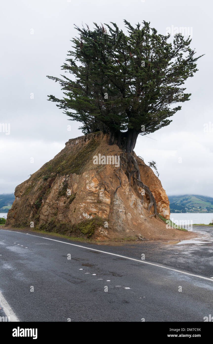 Natural feature along Portobello Road, Portobello, near Dunedin, South Otago, South Island, New Zealand. Stock Photo