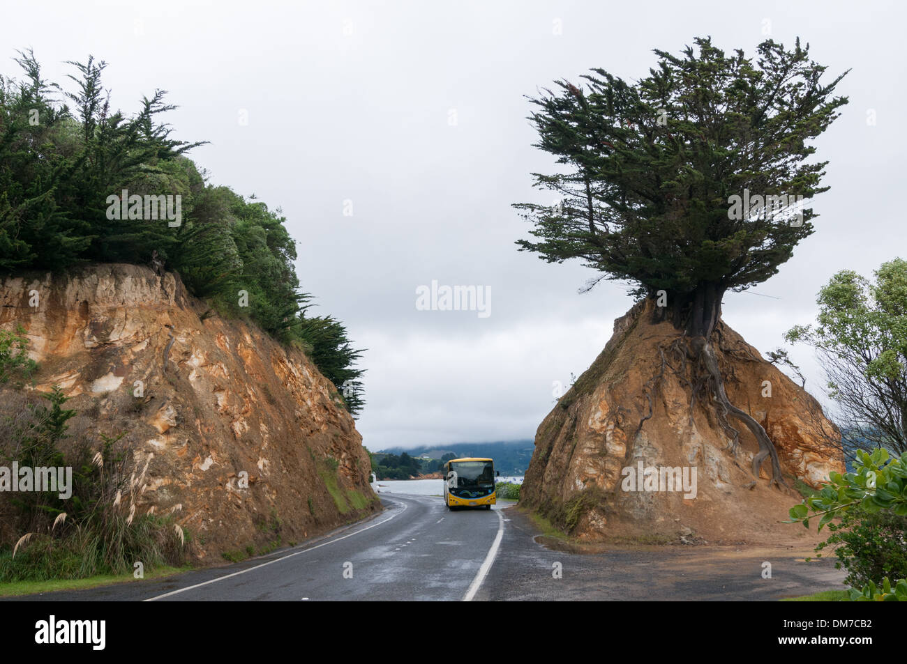 Natural feature along Portobello Road, Portobello, near Dunedin, South