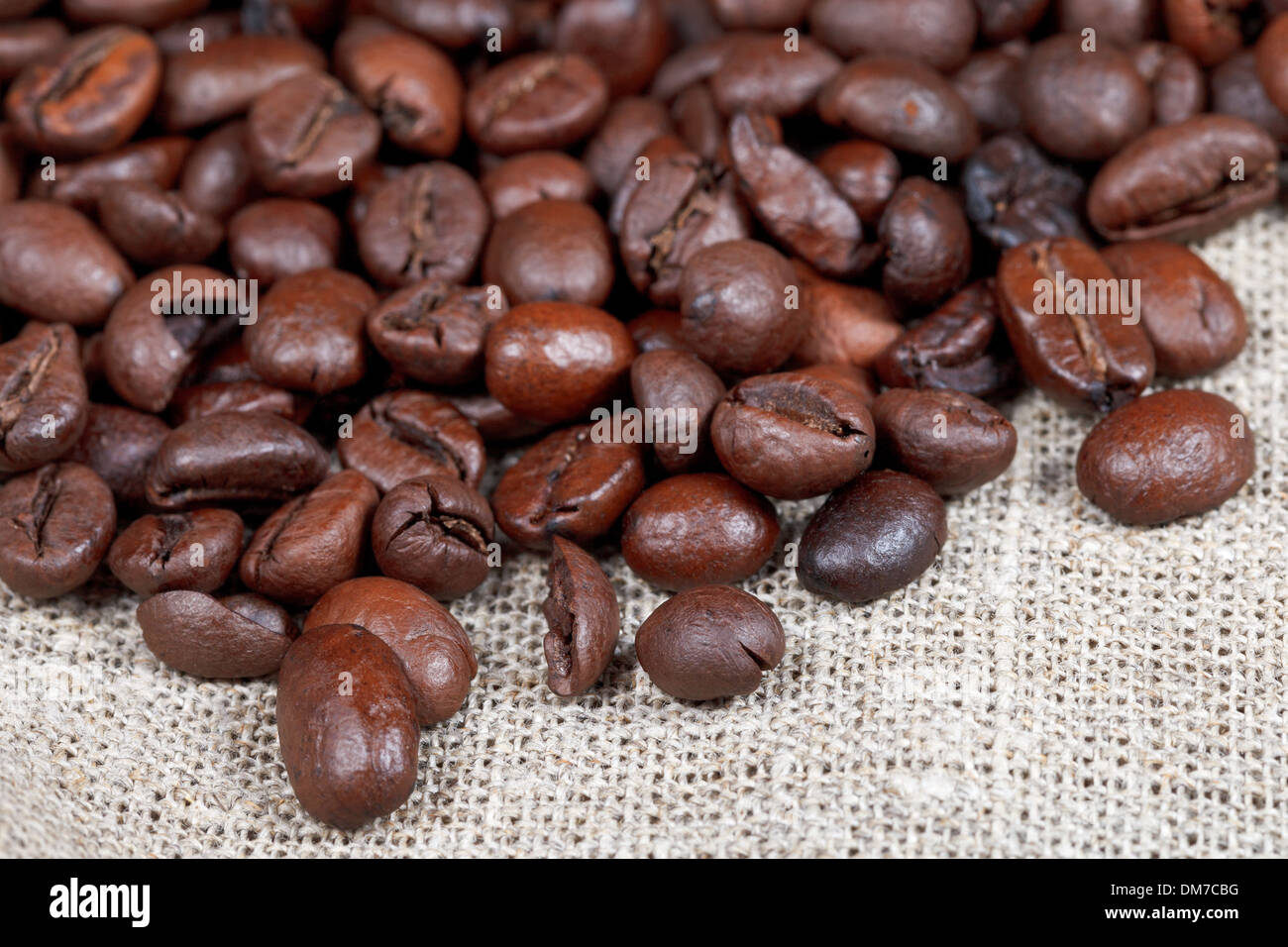 many roasted coffee beans on sacking close up Stock Photo