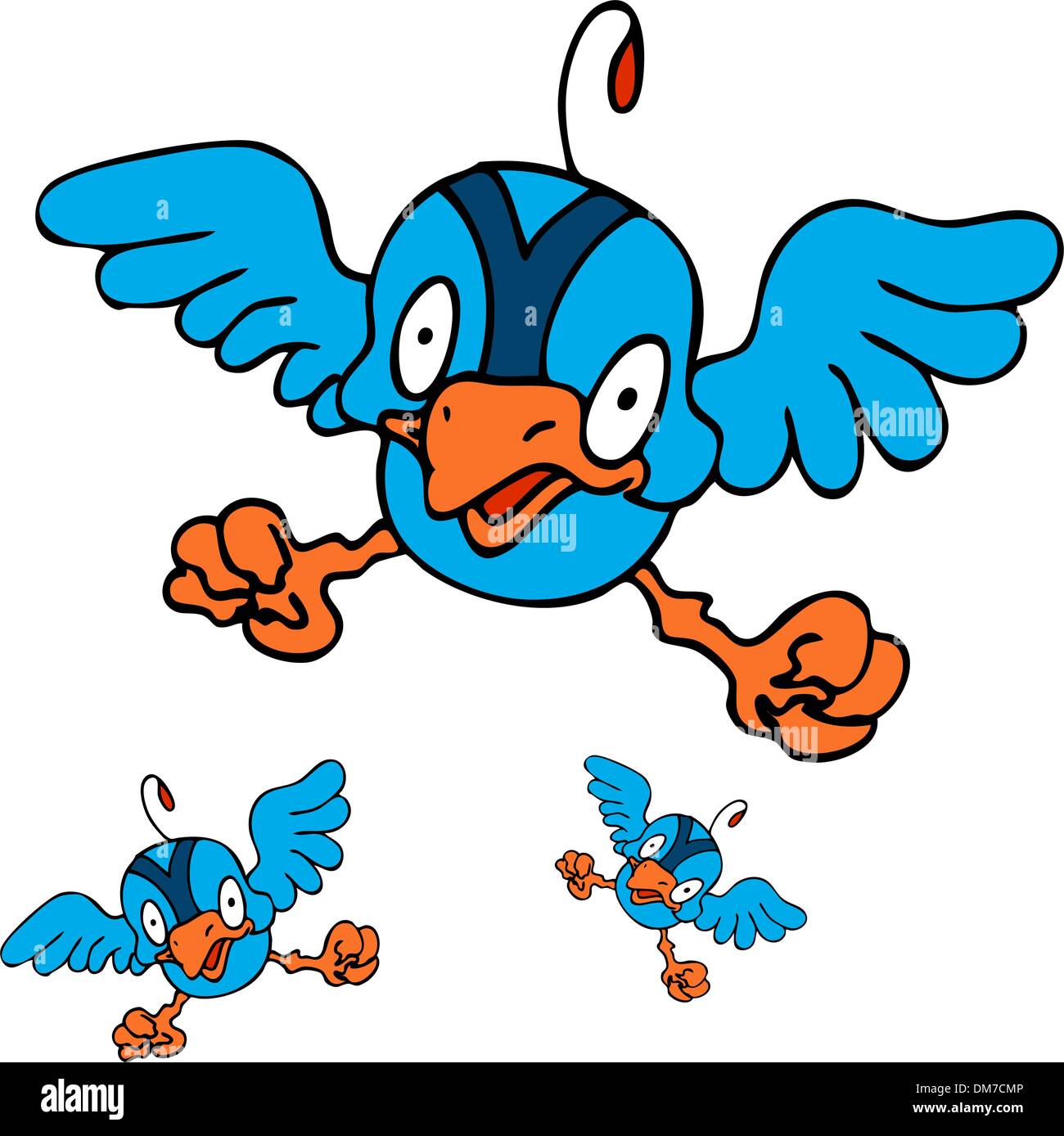 Learning To Fly Bird Stock Photos & Learning To Fly Bird Stock Images