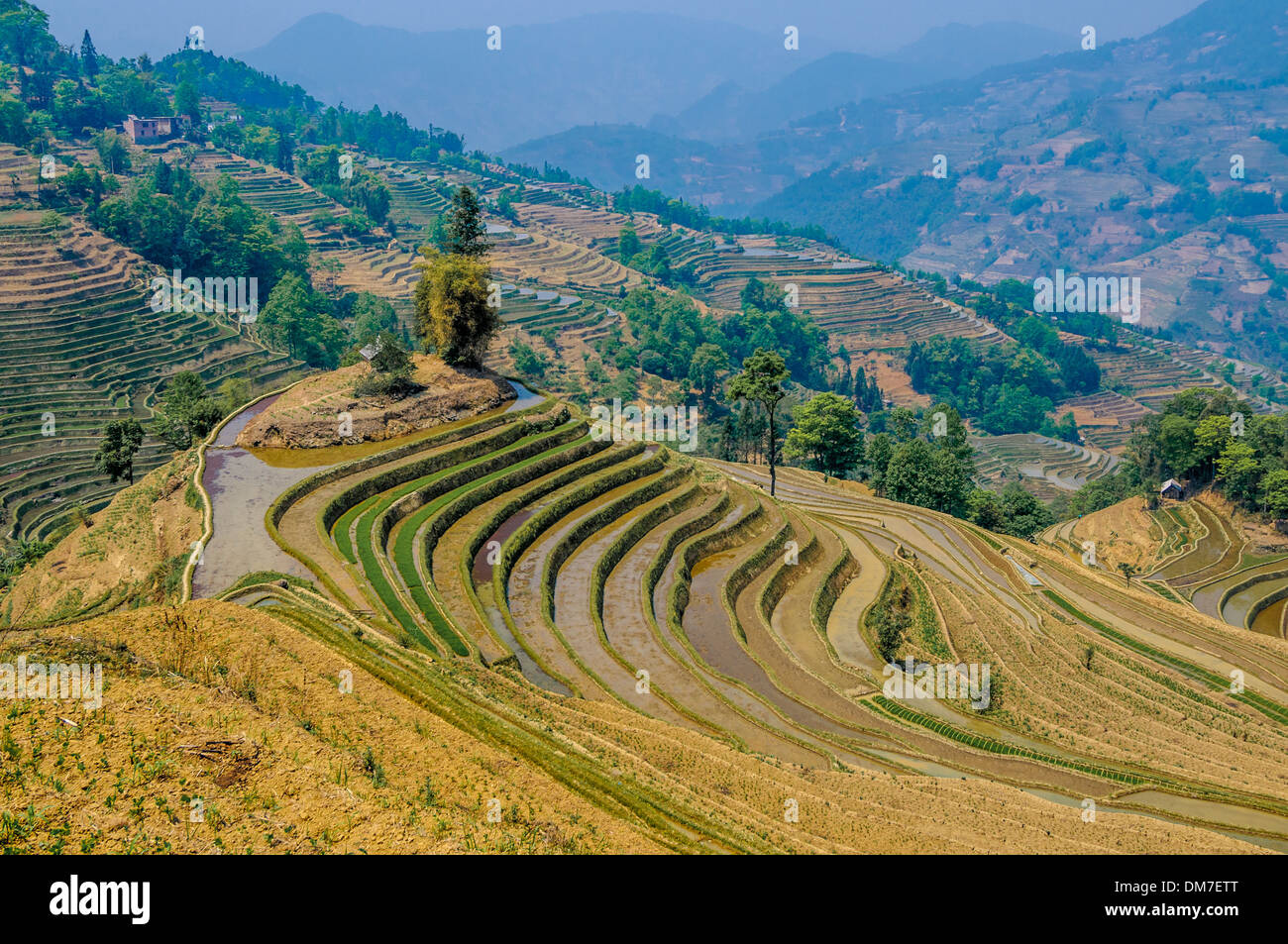 Rice terraces of Yuanyang, Yunnan, China Stock Photo