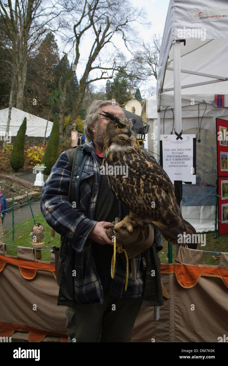 North Wales Male Handler Holding A European Eagle Owl Used
